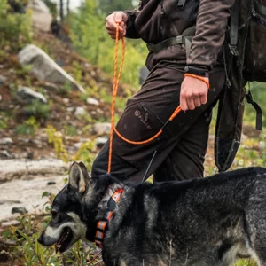 Retriverkoppel med invävd reflex 190 cm i flera färger