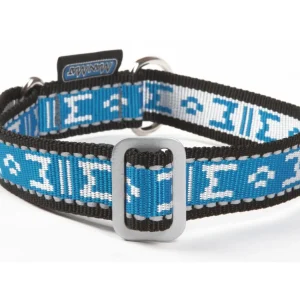 Standard Halsband Reflex