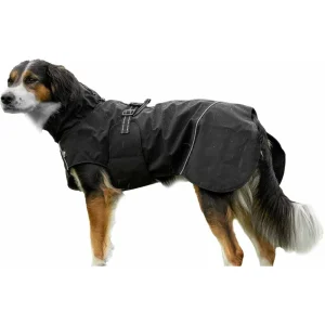 Regntäcke hund